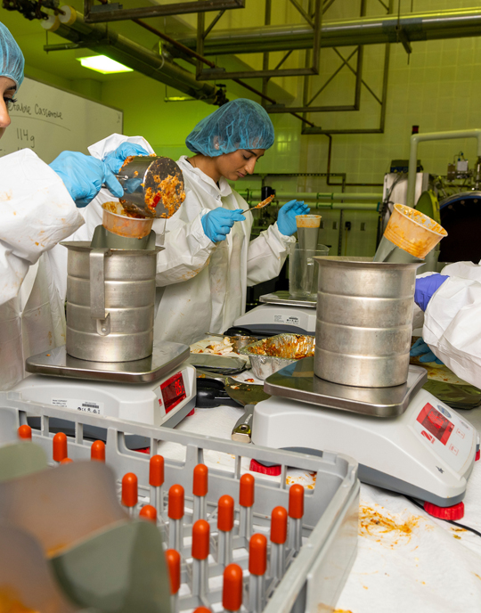 Food Process Program 